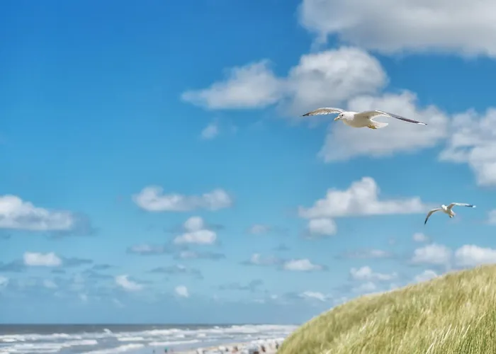 Strandhaus 1 Eg Шпикерог